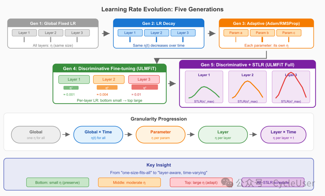 Learning Rate Evolution
