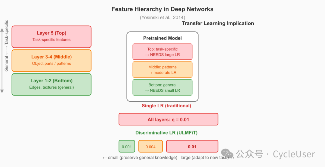 Layer Feature Hierarchy
