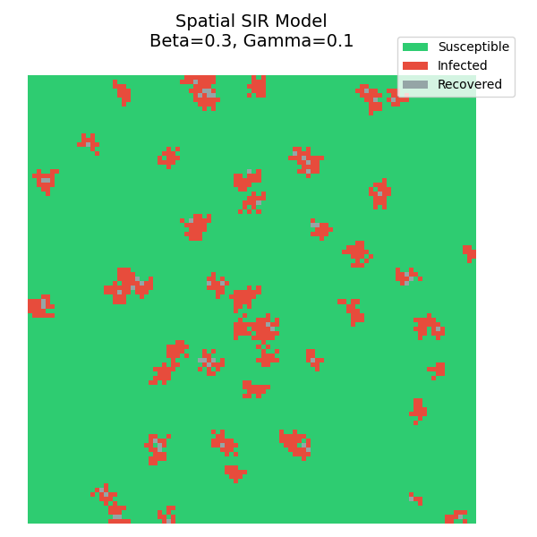 Spatial SIR Simulation